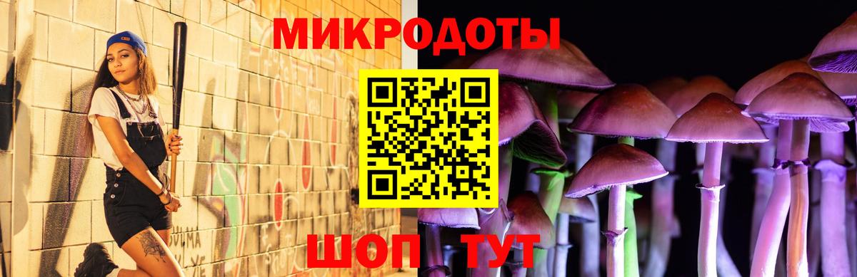Галлюциногенные грибы MAGIC MUSHROOMS  Псилоцибиновые грибы мицелий  Вход с VPN  Россошь 